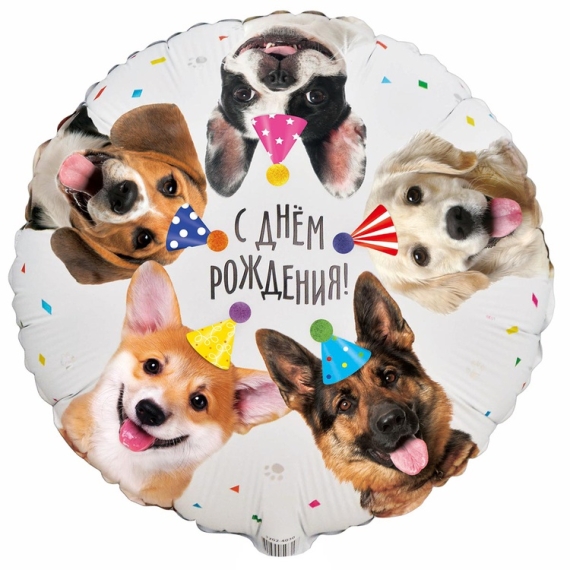 Собачки фотографичные 